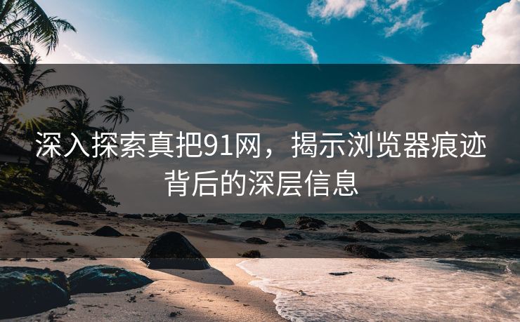 深入探索真把91网，揭示浏览器痕迹背后的深层信息