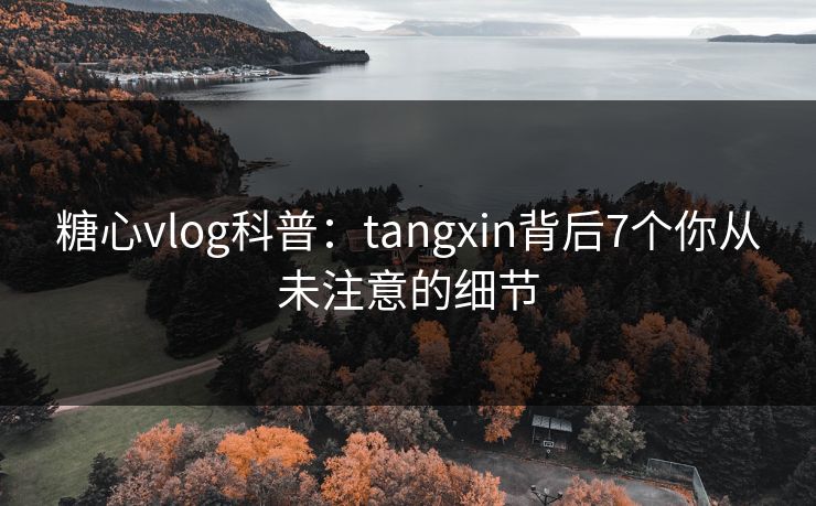 糖心vlog科普：tangxin背后7个你从未注意的细节